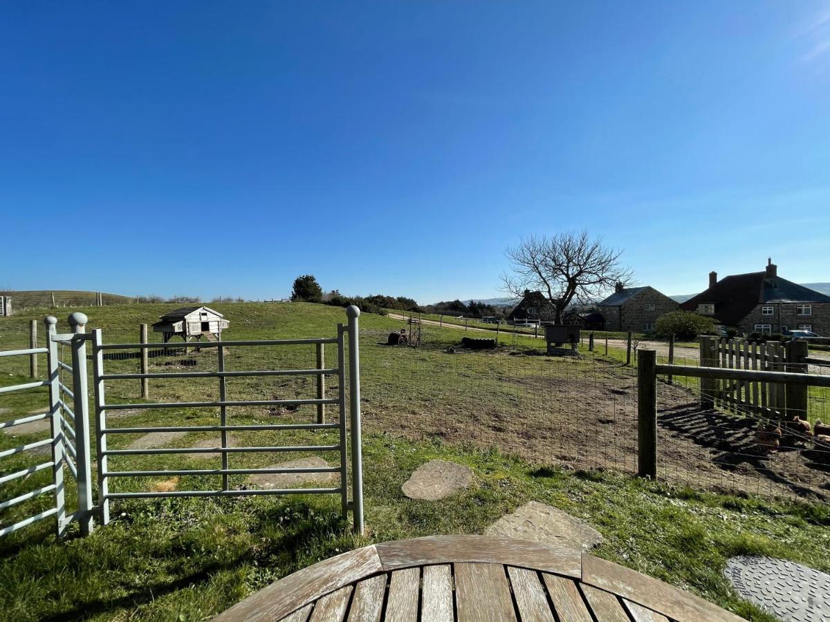 Surf Shack - Impeccable 1-Bed Cottage In Shorwell Exterior photo